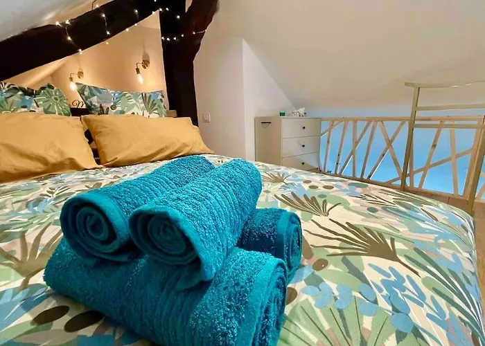 La Muse, Hypercentre, Calme Διαμέρισμα